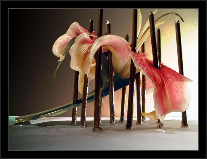 Что бывает когда душа плачет?