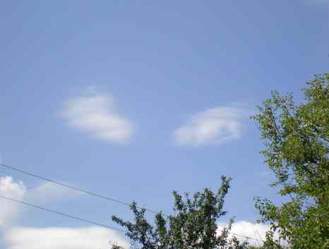 Крылья ангела