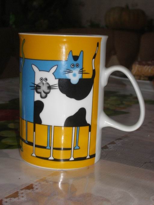 Котик и Кошуля