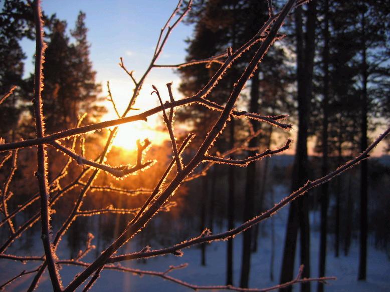 Зимняя зарисовка