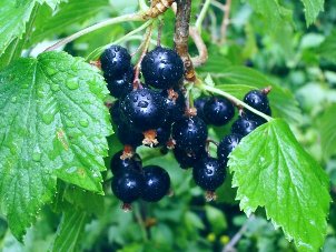 Без любви построенный дом...