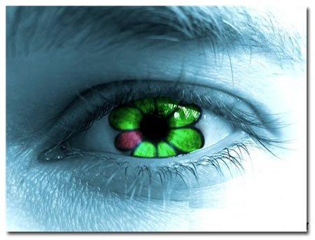 ICQ life