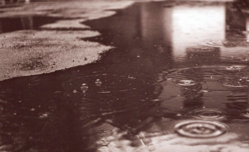 Дождь идет...