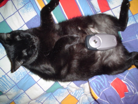 О жизни вслух