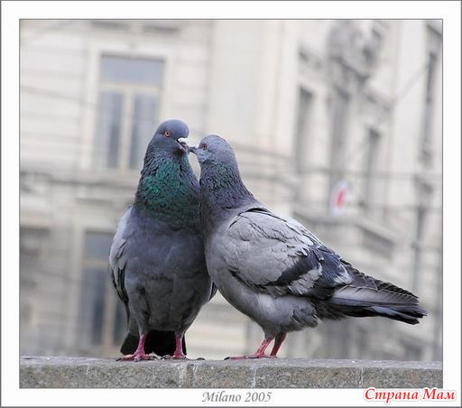 Знать, судьба такая