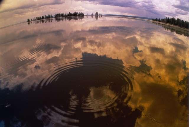 Я тiкаю вiд тебе