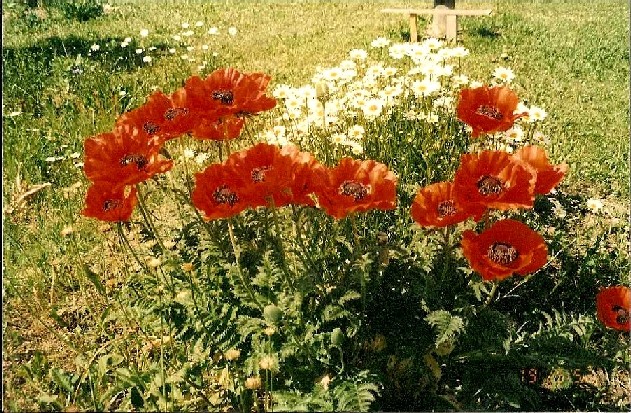 Наважденье