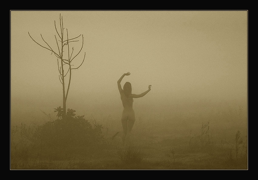 Всё чего-то жду...