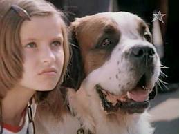 Мой собачий брат