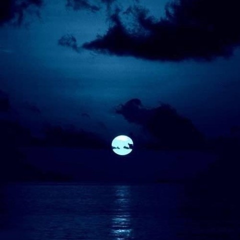 Жизнь, как прикол...