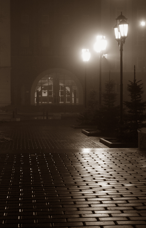 Мне бы только пережить эту ночь...