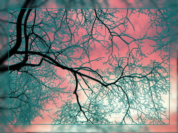 Я остаюсь! - шепнула осень