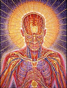 сквозь существо вне человека