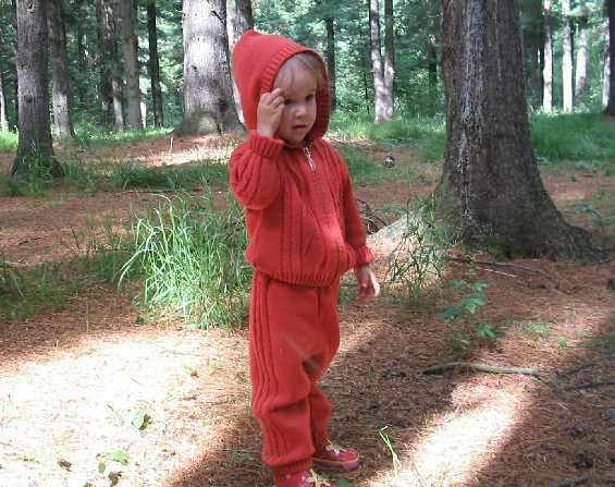 Летняя прогулка