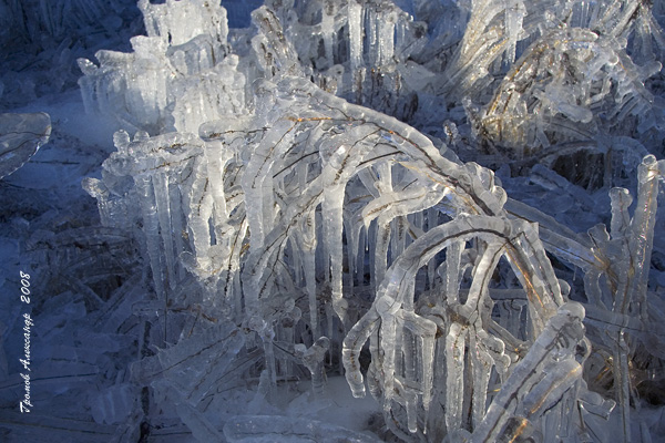Скоро ноябрь, малыш, а за ним зима