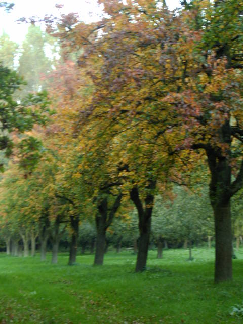 Бабье лето не прощаясь