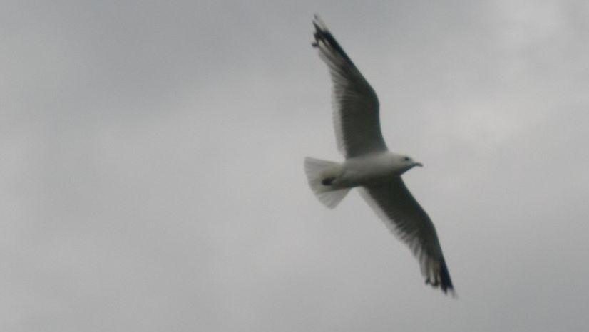 Незримый покой