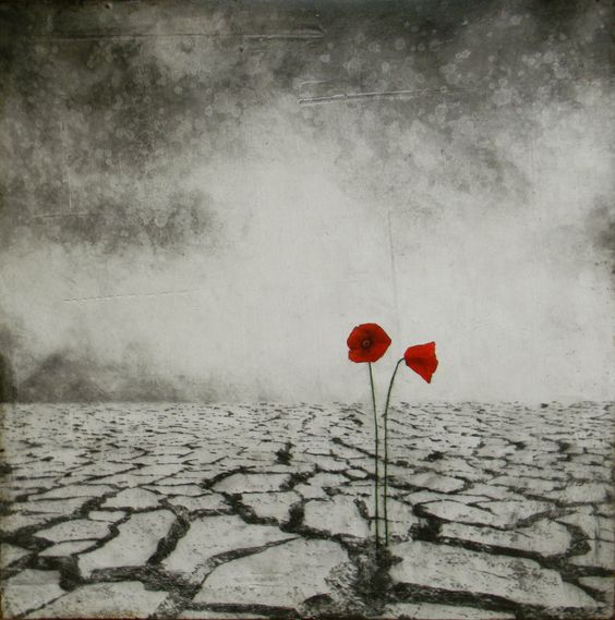 Я, как эхо...