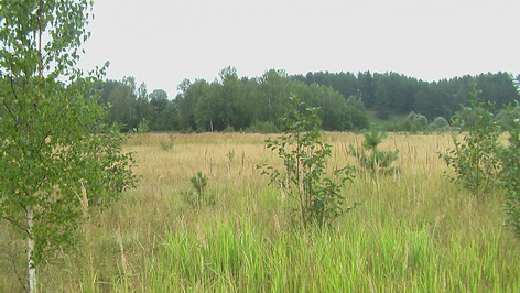 За деревней