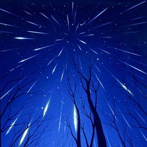 268. Весь день растревоженно-остро