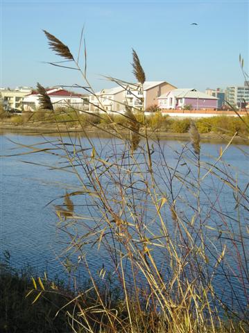 Я раньше не любила холода