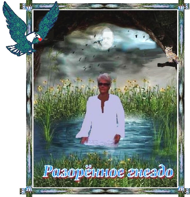 Разорённое гнездо