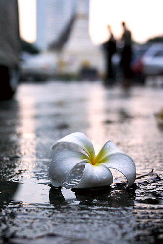 Закончен недописанный роман