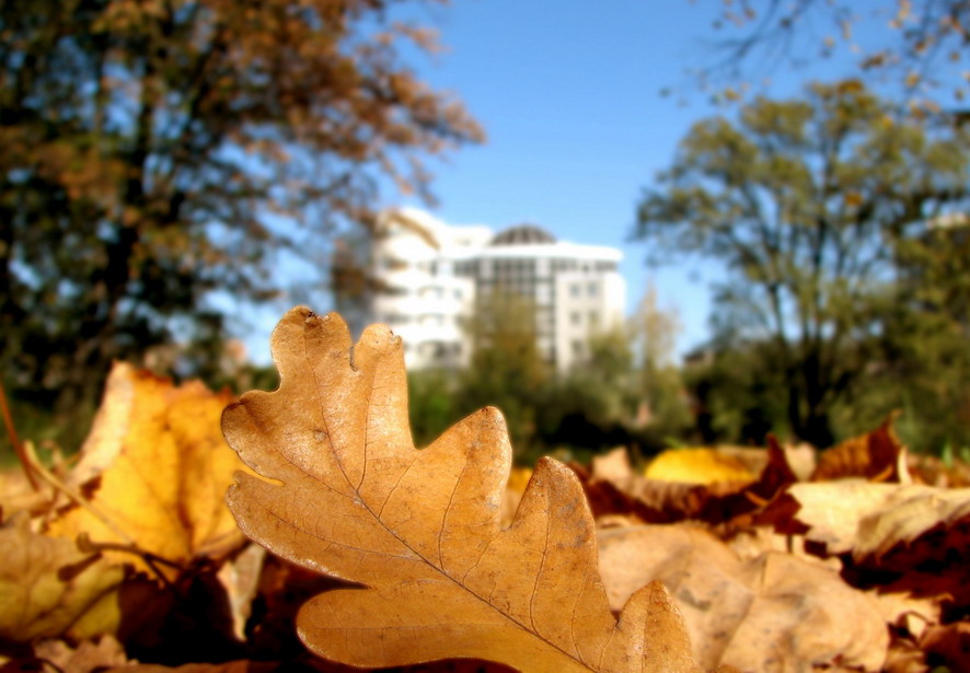 Осенний субботник