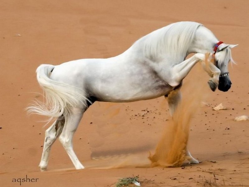 Может ты ангел...