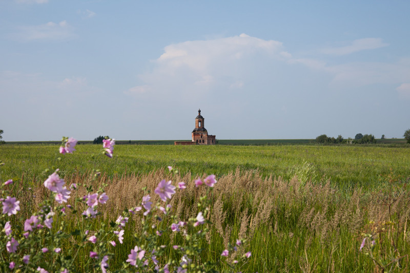 Рассуждение о бренном...