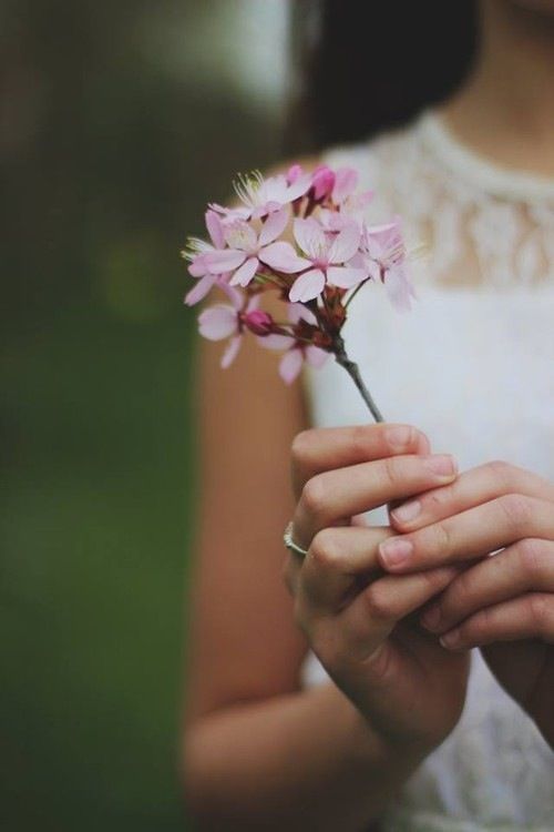 Забытые мечты