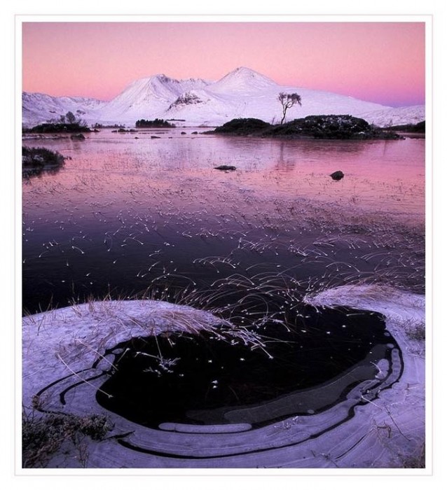 Зима без снегирей