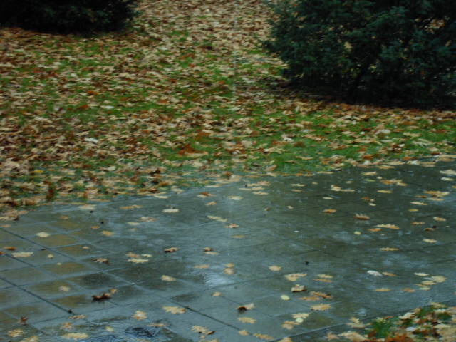 Роняют тучи капельки печальные