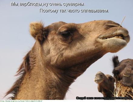 Сплюнь, но весело