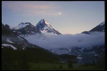 Мне бы мужа...