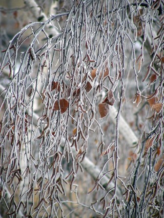 демисезонное...