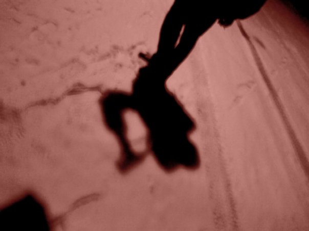 Человеческие глупости