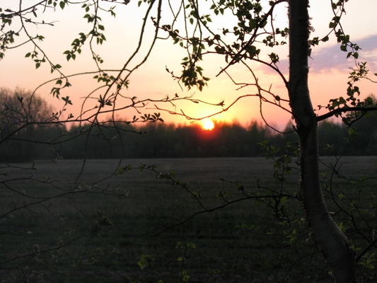 размышления ни о чём и обо всём...