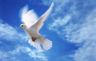 Любила, но забыла