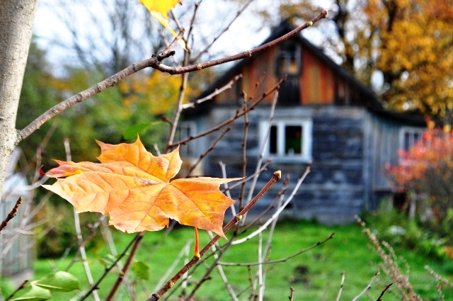 Осень - это прощание лета...