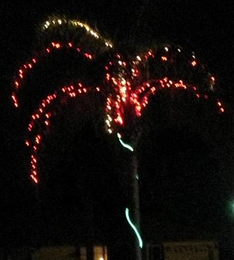 Во Флориде Новый Год