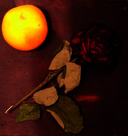 Следы на потолке