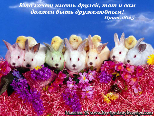 Будьте дружелюбны