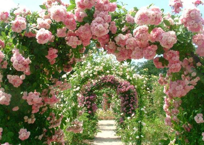 Обитель счастья и любви...