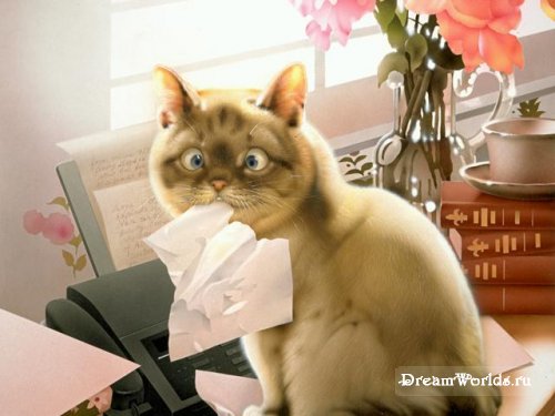 Так люблю я тигров...