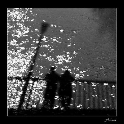 два голоса слились в два звука