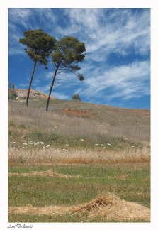 Не грусти...