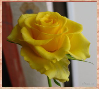 Подарком позабытых летних дней...