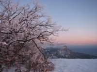 Круговорот времен года