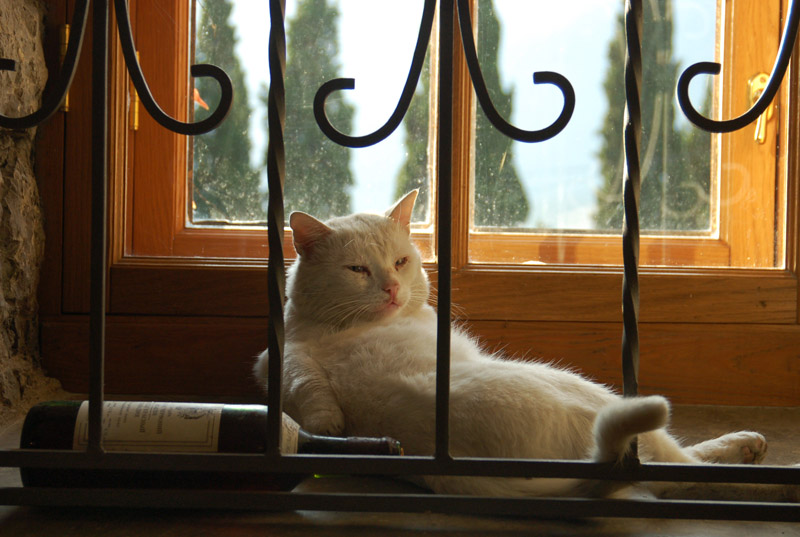 Ш-И ничуть неромантичное